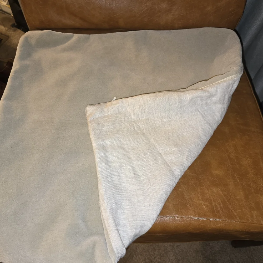 Crate & Barrel 20x20 pillow sham